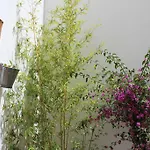 Room Tarifa 호스텔 타리파