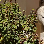 호스텔 Room Tarifa 타리파