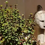 호스텔 Room Tarifa