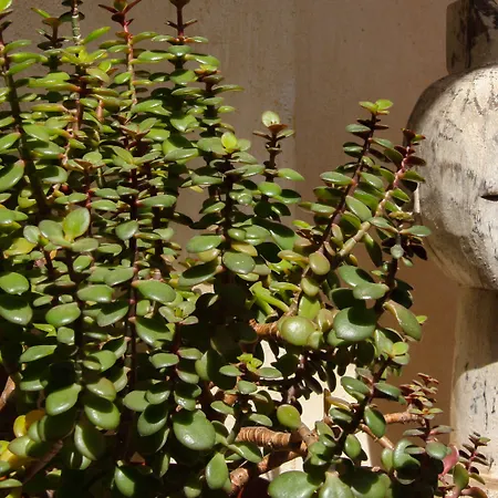 Хостел Room Tarifa Тарифа