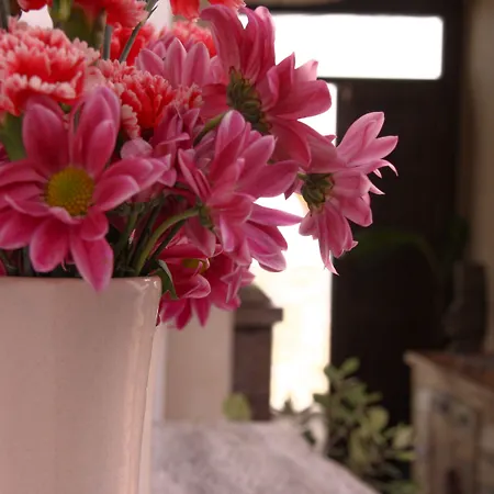 Room Tarifa Хостел Тарифа