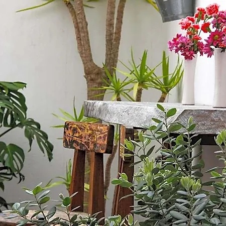 Room Tarifa 타리파