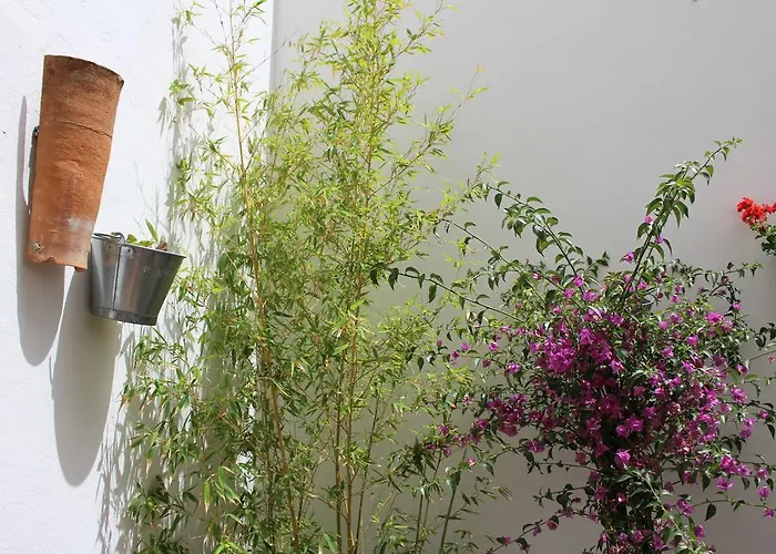 Room Tarifa Vandrerhjem Tarifa