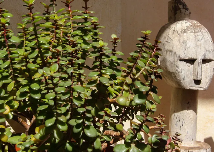 Vandrerhjem Room Tarifa Tarifa