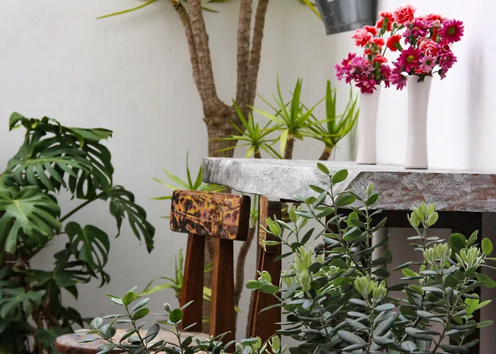 Vandrerhjem Room Tarifa *