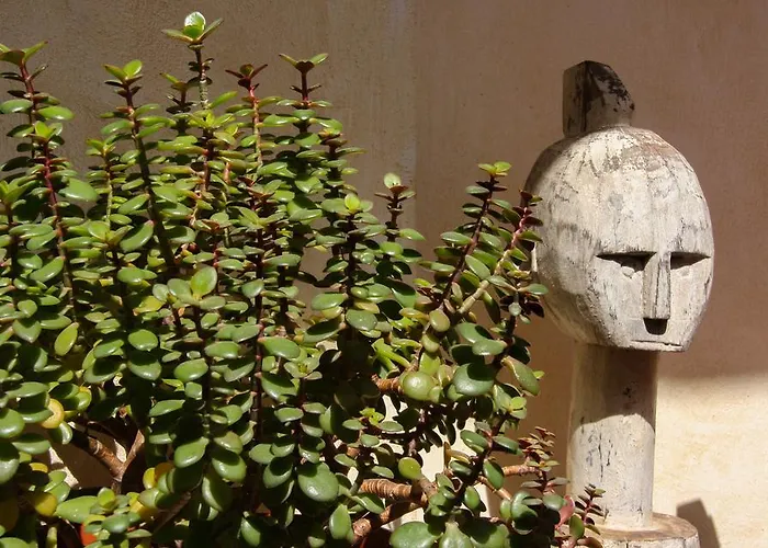 Vandrerhjem Room Tarifa